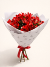 Ruby Alstroemerias