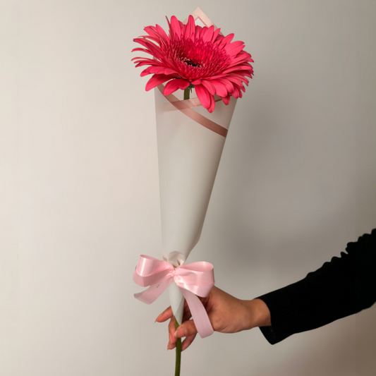 Minimal Bloom (Cono)