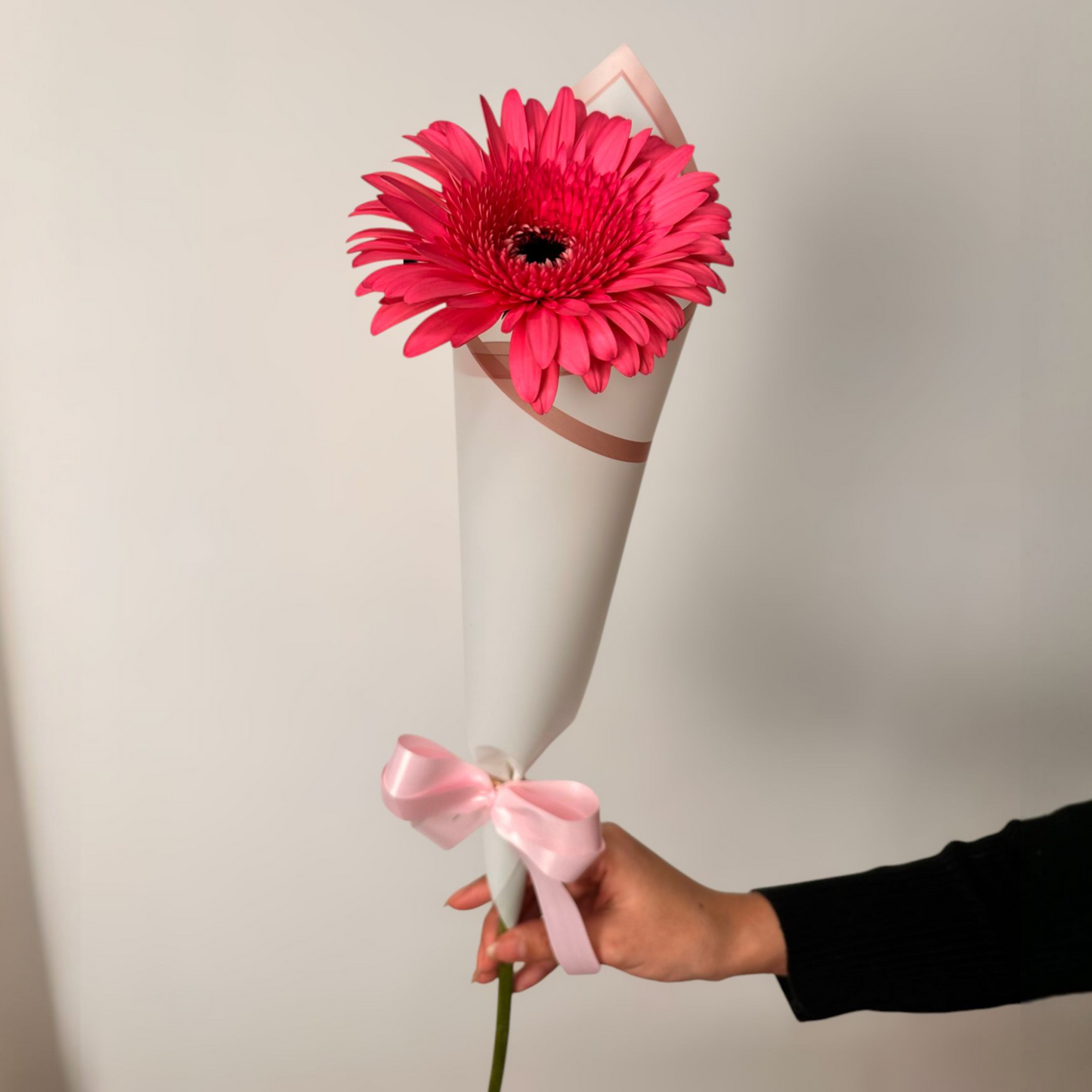 Minimal Bloom (Cono)