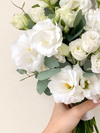 Ramo Bridal Muse