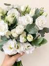 Ramo Bridal Muse