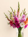 Gladiolos en florero